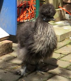 Marlene auf Terrasse.jpg