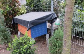 hinterer Stall von hinten - neu.jpg