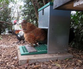 Alma am Futterautomat.jpg