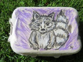 Karton Waschbär.jpg